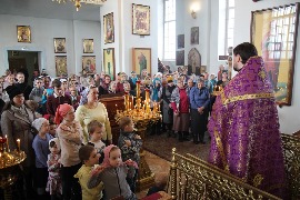 IMG_0200_новый размер.JPG