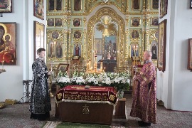 IMG_7192.JPG