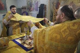 IMG_2648_новый размер.JPG
