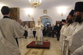 IMG_7977_новый размер.JPG