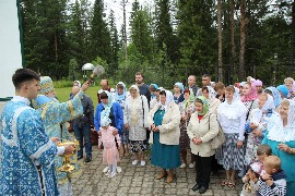 IMG_7350_новый размер.JPG