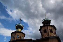 IMG_6336.jpg