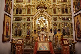 IMG_7301_новый размер.JPG