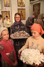 IMG_7855_новый размер.JPG