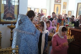 IMG_8763.JPG