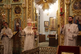 IMG_7382.JPG