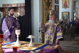 IMG_5627_новый размер.JPG
