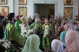 IMG_6770.JPG