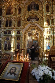 IMG_8793_новый размер.JPG