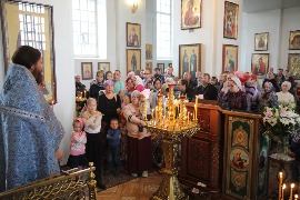 IMG_8994.JPG