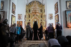 IMG_9535_новый размер.JPG