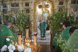 IMG_3646_новый размер.JPG