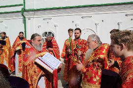 IMG_7722_новый размер.JPG