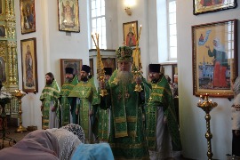 IMG_0230.JPG