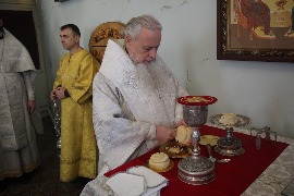 IMG_9559_новый размер.JPG