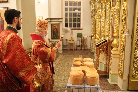 IMG_7531.JPG
