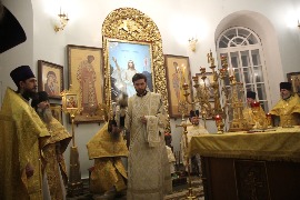 IMG_2231.JPG