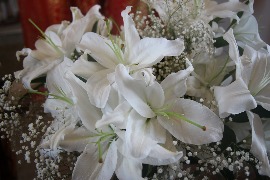 IMG_3086_новый размер.JPG