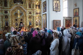 IMG_8874_новый размер.JPG