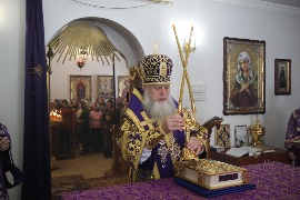 IMG_9843.JPG