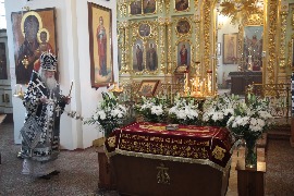 IMG_1135_новый размер.JPG