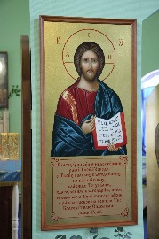 IMG_6305.jpg
