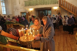IMG_3064.JPG