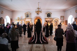 IMG_9207_новый размер.JPG