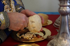 IMG_8225_новый размер.JPG
