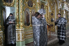 IMG_5460_новый размер.JPG