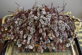 IMG_6522.JPG