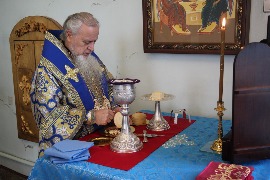 IMG_8224_новый размер.JPG