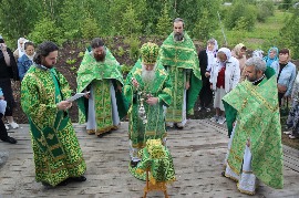 IMG_6561.jpg