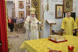 IMG_1564_новый размер.JPG