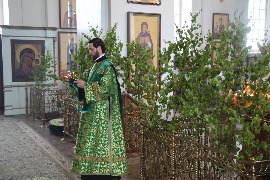 IMG_3604_новый размер.JPG