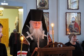 IMG_8993_новый размер.JPG