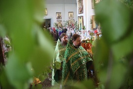 IMG_3650_новый размер.JPG