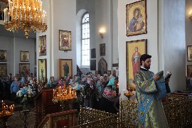 IMG_0696_новый размер.JPG
