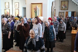 IMG_5578_новый размер.JPG