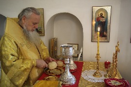 IMG_8454_новый размер.JPG
