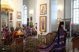 IMG_5174_новый размер.JPG