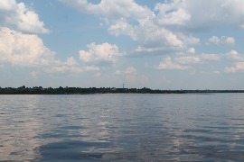 IMG_8923_новый размер.JPG