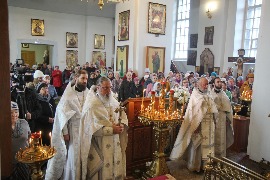 IMG_7350_новый размер.JPG