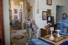 IMG_8246_новый размер.JPG