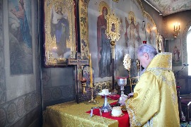 IMG_3164_новый размер.JPG