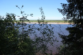 IMG_7226_новый размер.JPG