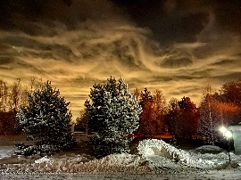 IMG_3174.jpg