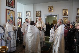 IMG_7294_новый размер.JPG