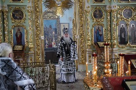 IMG_9352_новый размер.JPG