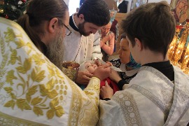 IMG_8084_новый размер.JPG